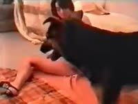 Adventurous dark brown college hoe getting drilled by a dog in this steaming brute fetish flick